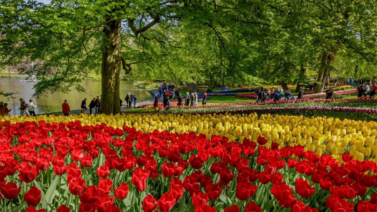 Katwijk aan Zee Molecaten Park Noordduinen מראה חיצוני תמונה